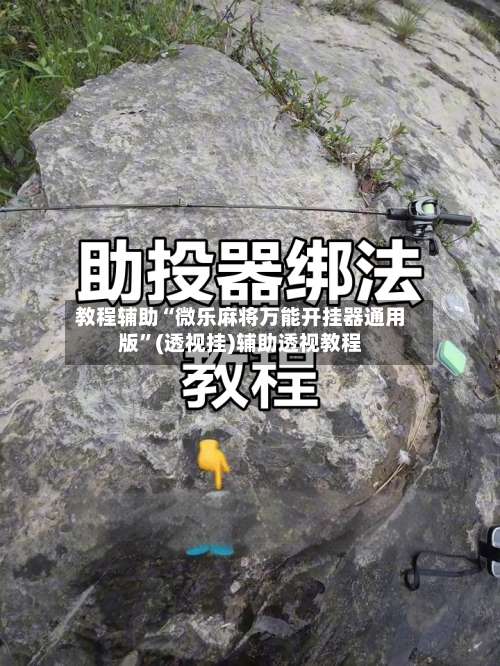 教程辅助“微乐麻将万能开挂器通用版”(透视挂)辅助透视教程-第2张图片