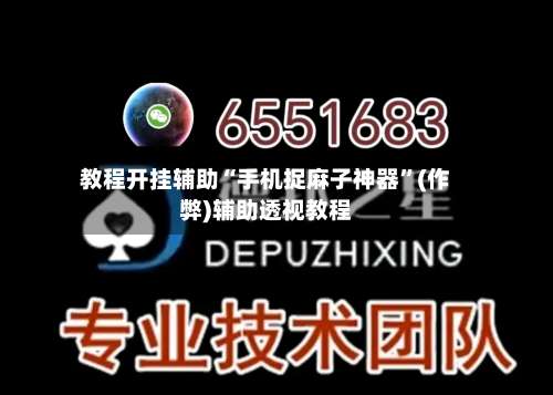 教程开挂辅助“手机捉麻子神器”(作弊)辅助透视教程-第2张图片