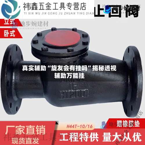 真实辅助“旋友会有挂吗”揭秘透视辅助万能挂-第1张图片