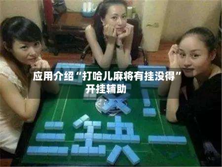 应用介绍“打哈儿麻将有挂没得”开挂辅助-第2张图片