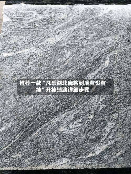 推荐一款“凡乐湖北麻将到底有没有挂”开挂辅助详细步骤-第2张图片