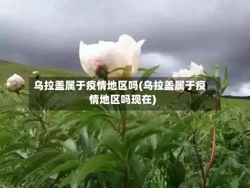 乌拉盖属于疫情地区吗(乌拉盖属于疫情地区吗现在)-第2张图片