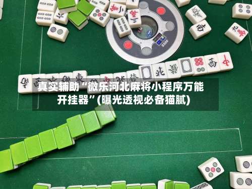 真实辅助“微乐河北麻将小程序万能开挂器”(曝光透视必备猫腻)-第2张图片