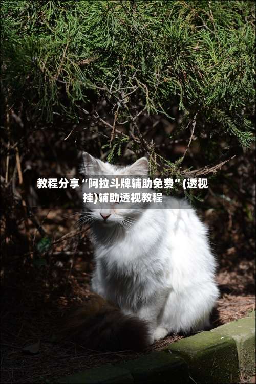 教程分享“阿拉斗牌辅助免费	”(透视挂)辅助透视教程-第1张图片