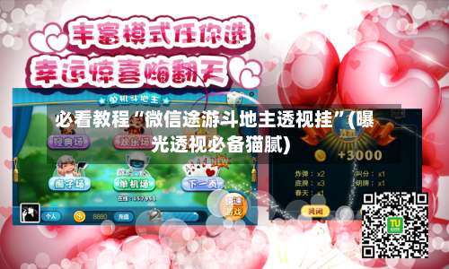 必看教程“微信途游斗地主透视挂”(曝光透视必备猫腻)-第1张图片