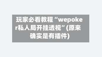 玩家必看教程“wepoker私人局开挂透视	”(原来确实是有插件)-第1张图片