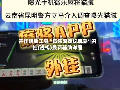 开挂辅助工具“微乐游戏记牌器	”开挂(透视)最新辅助详细-第1张图片