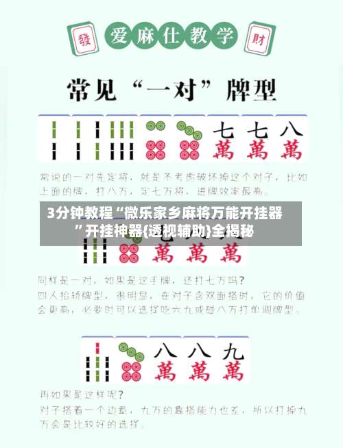 3分钟教程“微乐家乡麻将万能开挂器”开挂神器{透视辅助}全揭秘-第1张图片