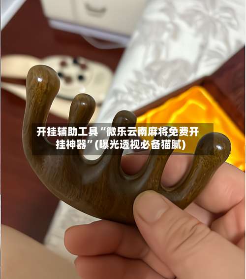 开挂辅助工具“微乐云南麻将免费开挂神器	”(曝光透视必备猫腻)-第2张图片