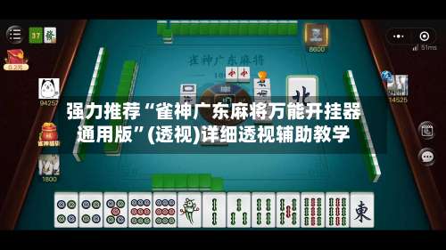 强力推荐“雀神广东麻将万能开挂器通用版”(透视)详细透视辅助教学-第2张图片