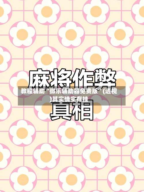 教程辅助“微乐辅助器免费版	”(透视)其实确实有挂-第1张图片