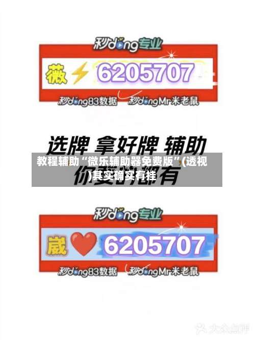 教程辅助“微乐辅助器免费版”(透视)其实确实有挂-第2张图片