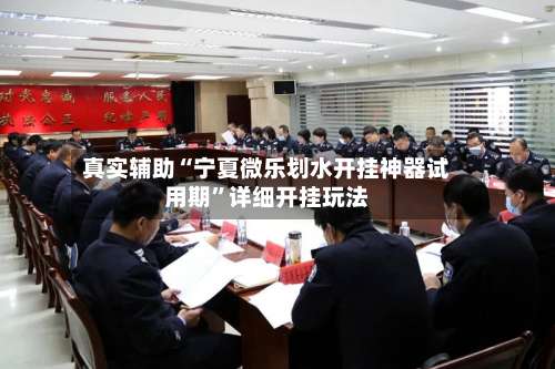 真实辅助“宁夏微乐划水开挂神器试用期”详细开挂玩法-第3张图片