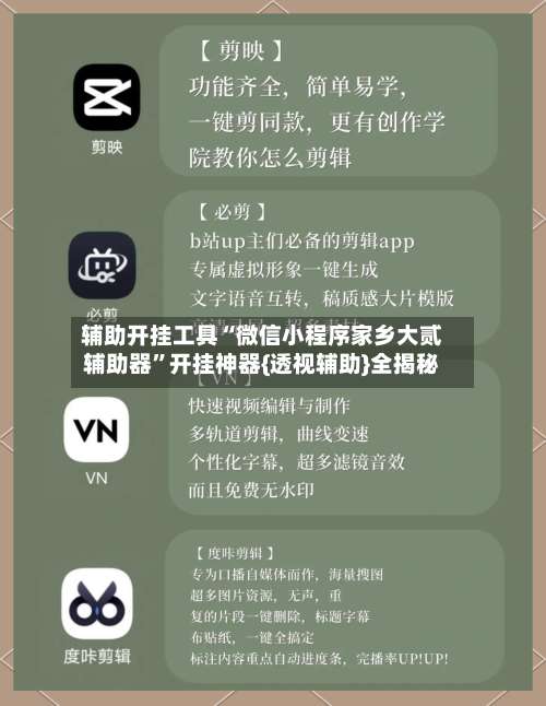 辅助开挂工具“微信小程序家乡大贰辅助器”开挂神器{透视辅助}全揭秘-第2张图片