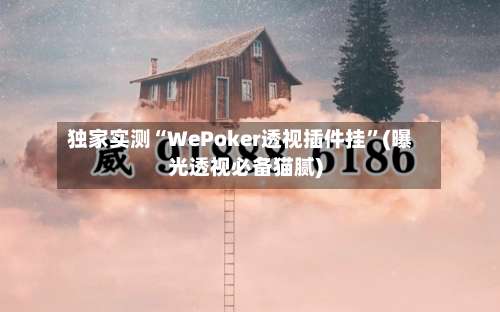 独家实测“WePoker透视插件挂”(曝光透视必备猫腻)-第2张图片