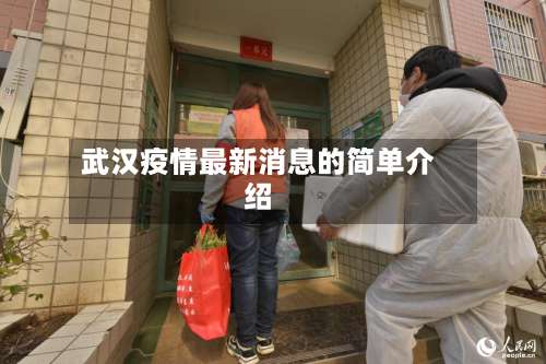 武汉疫情最新消息的简单介绍-第1张图片