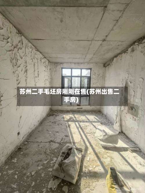 苏州二手毛坯房刚刚在售(苏州出售二手房)-第2张图片