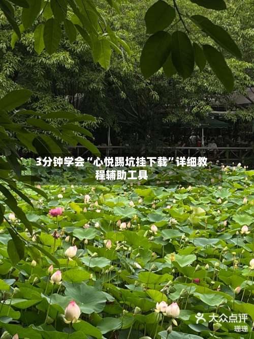 3分钟学会“心悦踢坑挂下载”详细教程辅助工具-第1张图片