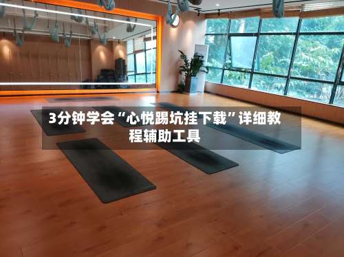 3分钟学会“心悦踢坑挂下载	”详细教程辅助工具-第2张图片