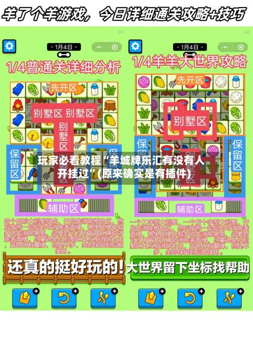 玩家必看教程“羊城牌乐汇有没有人开挂过	”(原来确实是有插件)-第1张图片