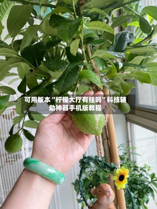 可用版本“柠檬大厅有挂吗”科技辅助神器手机版教程-第1张图片