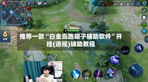 推荐一款“白金岛跑胡子辅助软件	”开挂(透视)辅助教程-第2张图片