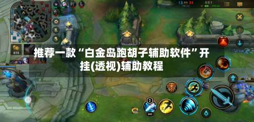 推荐一款“白金岛跑胡子辅助软件”开挂(透视)辅助教程-第1张图片