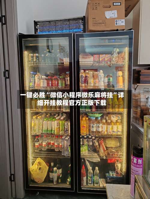 一键必胜“微信小程序微乐麻将挂”详细开挂教程官方正版下载-第3张图片