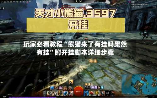 玩家必看教程“熊猫来了有挂吗果然有挂”附开挂脚本详细步骤-第2张图片