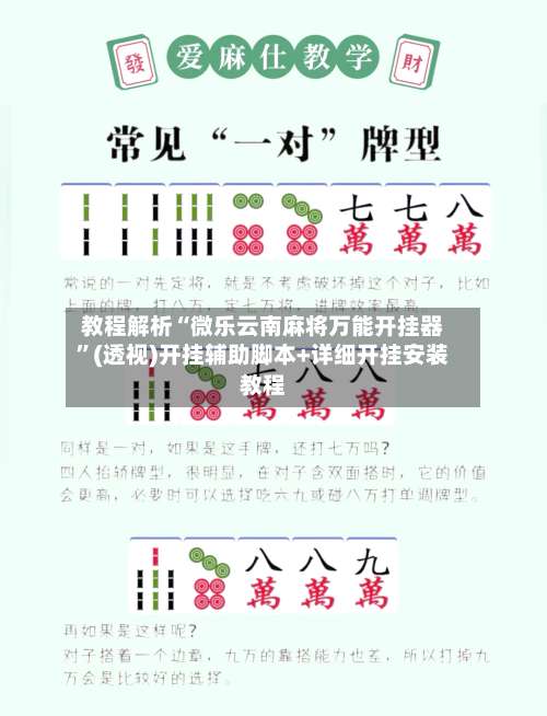 教程解析“微乐云南麻将万能开挂器”(透视)开挂辅助脚本+详细开挂安装教程-第3张图片