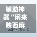 辅助神器“闲来陕西麻将万能开挂神器”通用版下载教程！-第2张图片