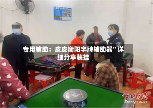 专用辅助：皮皮衡阳字牌辅助器	”详细分享装挂-第2张图片