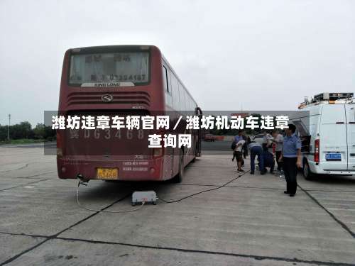 潍坊违章车辆官网／潍坊机动车违章查询网-第1张图片