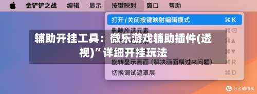 辅助开挂工具：微乐游戏辅助插件(透视)”详细开挂玩法-第1张图片
