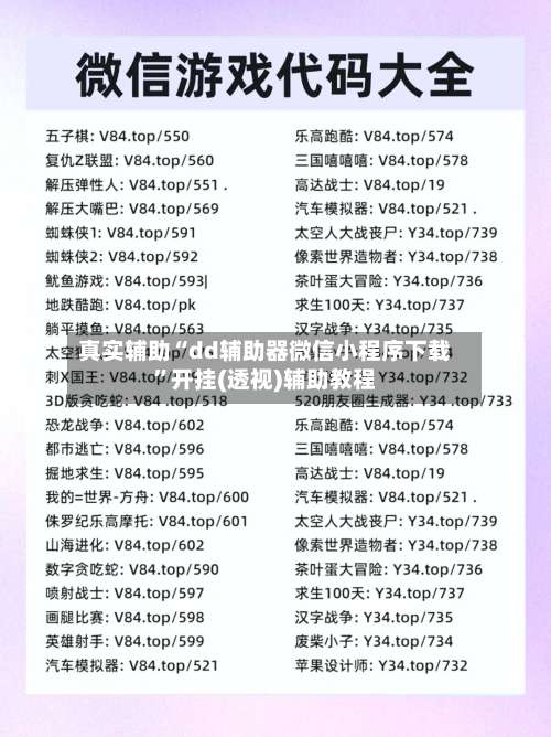 真实辅助“dd辅助器微信小程序下载”开挂(透视)辅助教程-第1张图片