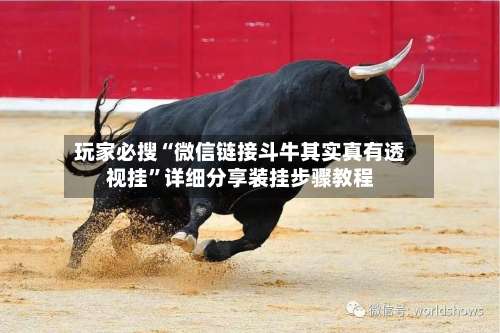 玩家必搜“微信链接斗牛其实真有透视挂”详细分享装挂步骤教程-第2张图片