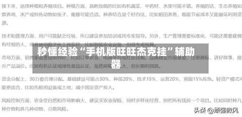 秒懂经验“手机版旺旺杰克挂”辅助器-第1张图片