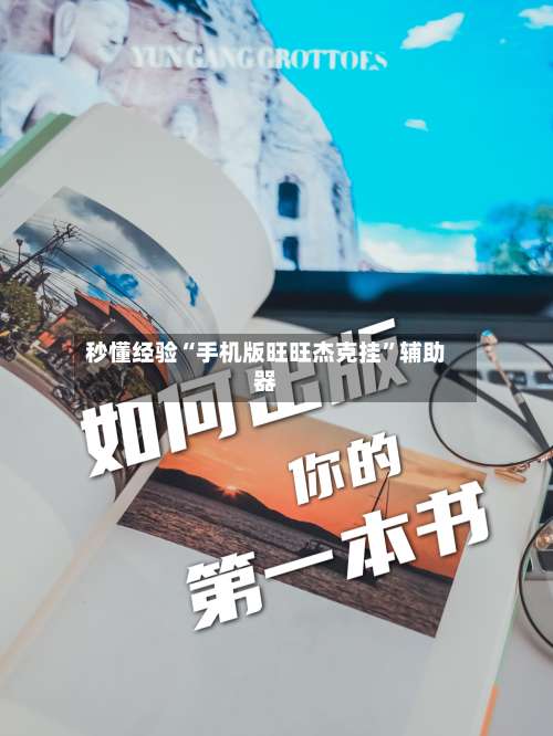 秒懂经验“手机版旺旺杰克挂	”辅助器-第2张图片