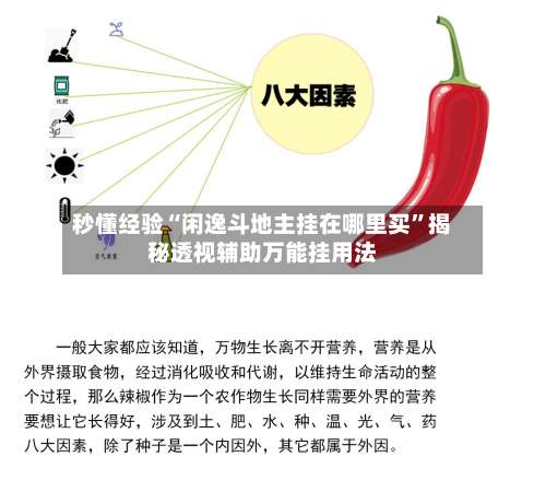 秒懂经验“闲逸斗地主挂在哪里买”揭秘透视辅助万能挂用法-第2张图片