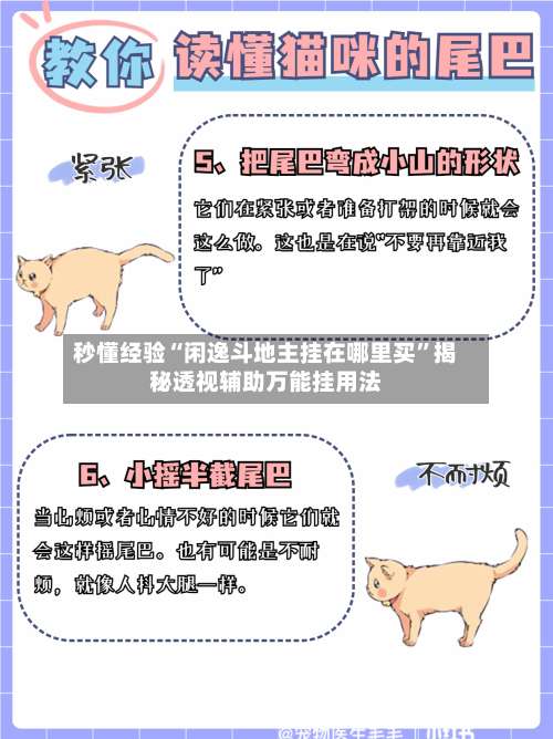 秒懂经验“闲逸斗地主挂在哪里买	”揭秘透视辅助万能挂用法-第1张图片