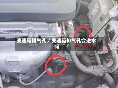 变速箱排气孔／变速箱排气孔会进水吗-第3张图片