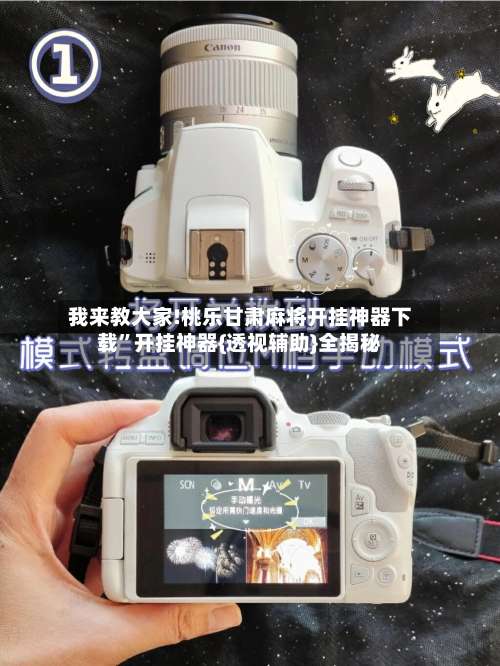 我来教大家!桃乐甘肃麻将开挂神器下载”开挂神器{透视辅助}全揭秘-第2张图片