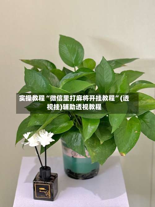 实操教程“微信里打麻将开挂教程”(透视挂)辅助透视教程-第1张图片