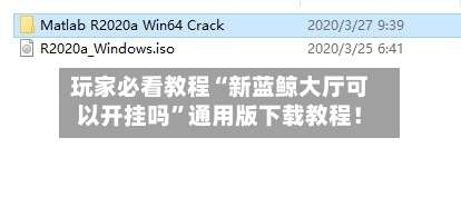 玩家必看教程“新蓝鲸大厅可以开挂吗	”通用版下载教程！-第1张图片