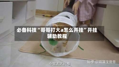 必备科技“哥哥打大a怎么开挂”开挂辅助教程-第1张图片