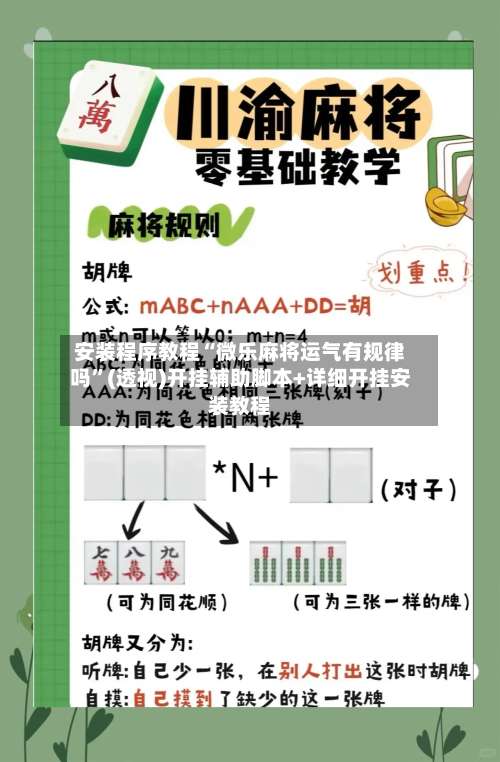 安装程序教程“微乐麻将运气有规律吗	”(透视)开挂辅助脚本+详细开挂安装教程-第3张图片