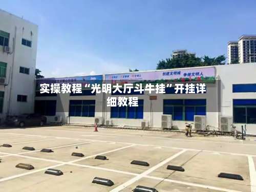 实操教程“光明大厅斗牛挂”开挂详细教程-第2张图片