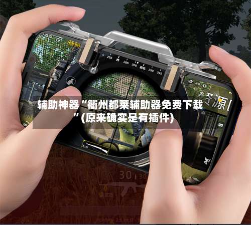 辅助神器“衢州都莱辅助器免费下载”(原来确实是有插件)-第1张图片