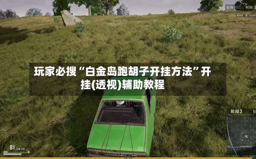 玩家必搜“白金岛跑胡子开挂方法”开挂(透视)辅助教程-第2张图片