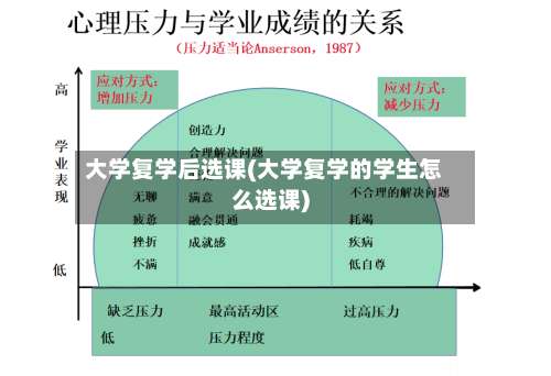 大学复学后选课(大学复学的学生怎么选课)-第1张图片